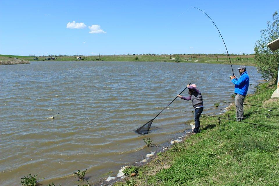 La Greaca Cercani in familie - 526737394998850520480353790519n.jpg